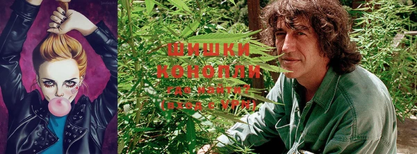 a pvp Абинск