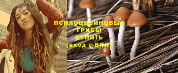 a pvp Абинск