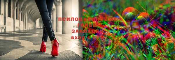 герыч Абаза