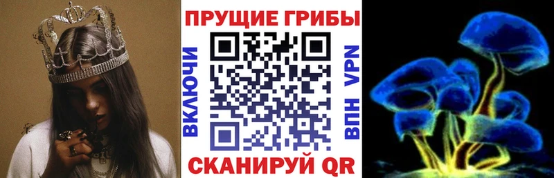 Галлюциногенные грибы мицелий  цена наркотик  Райчихинск 